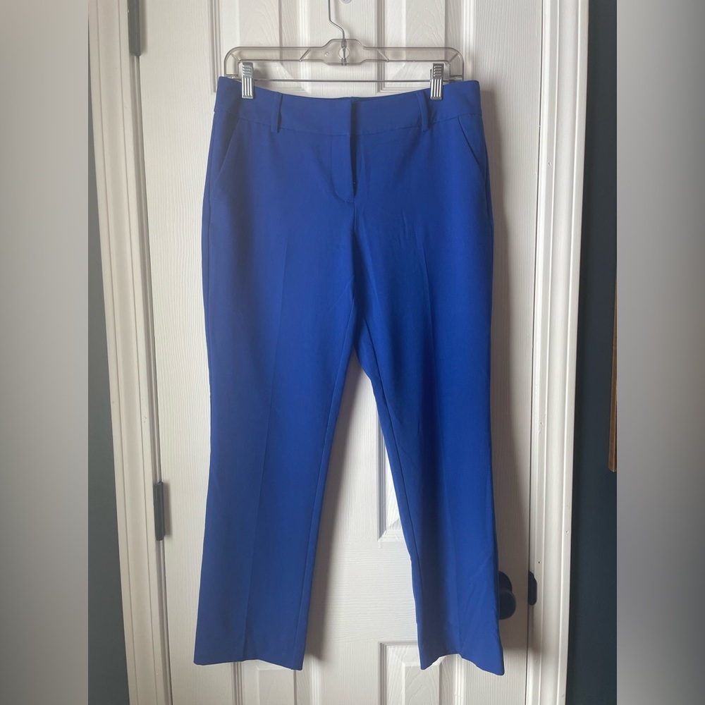 Elegant Blue Women's Pants
